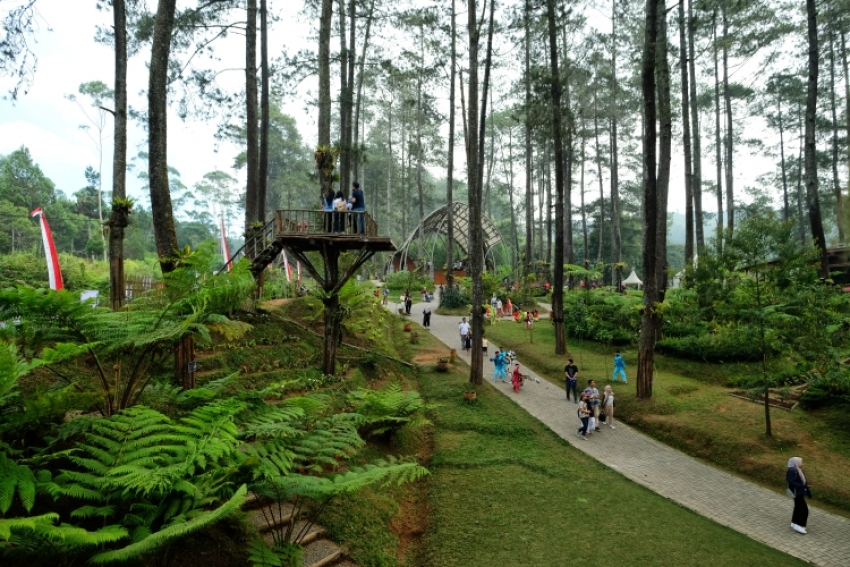 Ini Beberapa Daya Tarik Orchid Forest Cikole Bandung