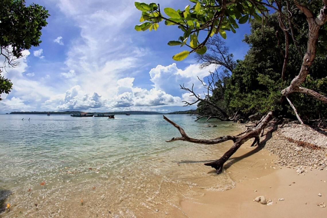 Ujung Kulon Taman Nasional Warisan Masa Lalu