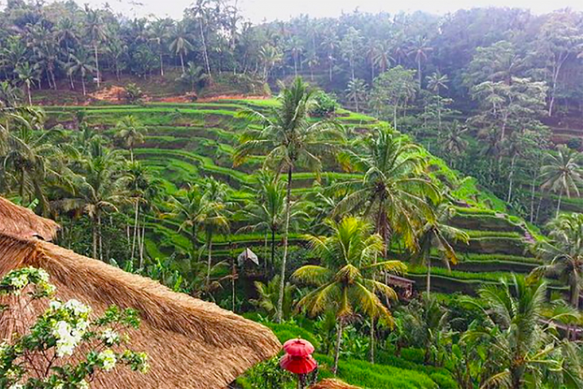 Ini Beberapa Fakta Unik Bali Yang Perlu Diketahui