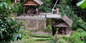 Nikmatnya Kopi Luwak dalam Dekap Sejuk Pegunungan Kintamani