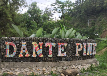 Nikmati Pesona Alam Hutan Pinus di Dante Pine, Enrekang