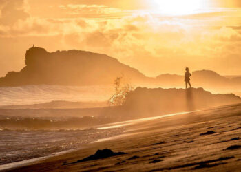 Taman Pasir Jeen Womom Papua Barat, Rumah Bertelurnya Penyu Belimbing