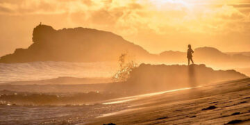 Taman Pasir Jeen Womom Papua Barat, Rumah Bertelurnya Penyu Belimbing