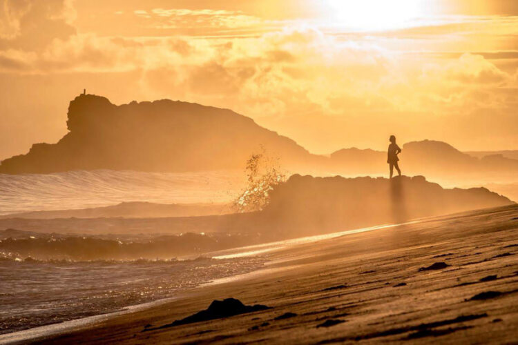 Taman Pasir Jeen Womom Papua Barat, Rumah Bertelurnya Penyu Belimbing