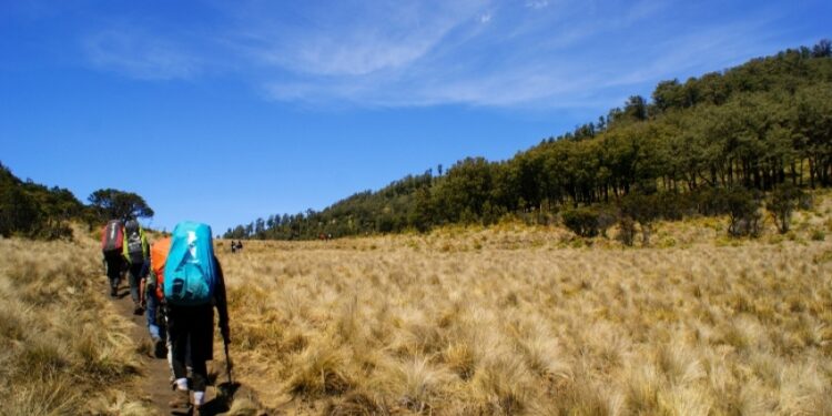 Sebuah Cerita Lain: Menapak Sejarah, Kehidupan dan Bentang Alam di Gunung Lawu