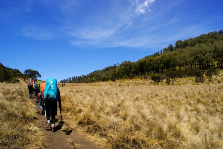 Sebuah Cerita Lain: Menapak Sejarah, Kehidupan dan Bentang Alam di Gunung Lawu