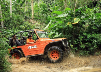 Ayo Pacu Adrenalin di Hutan Pinus Desa Nglinggo
