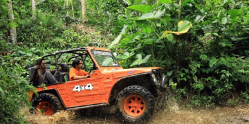 Ayo Pacu Adrenalin di Hutan Pinus Desa Nglinggo