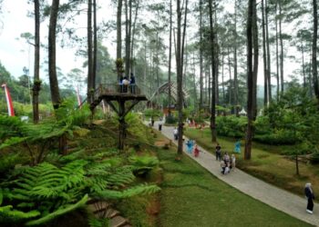 Ini Beberapa Daya Tarik Orchid Forest Cikole Bandung