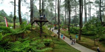 Ini Beberapa Daya Tarik Orchid Forest Cikole Bandung