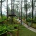 Ini Beberapa Daya Tarik Orchid Forest Cikole Bandung