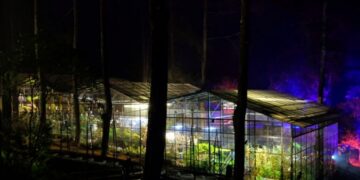 Menikmati Ratusan Anggrek Langka di Rumah Anggrek Orchid Forest Cikole