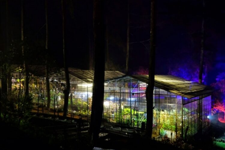 Menikmati Ratusan Anggrek Langka di Rumah Anggrek Orchid Forest Cikole