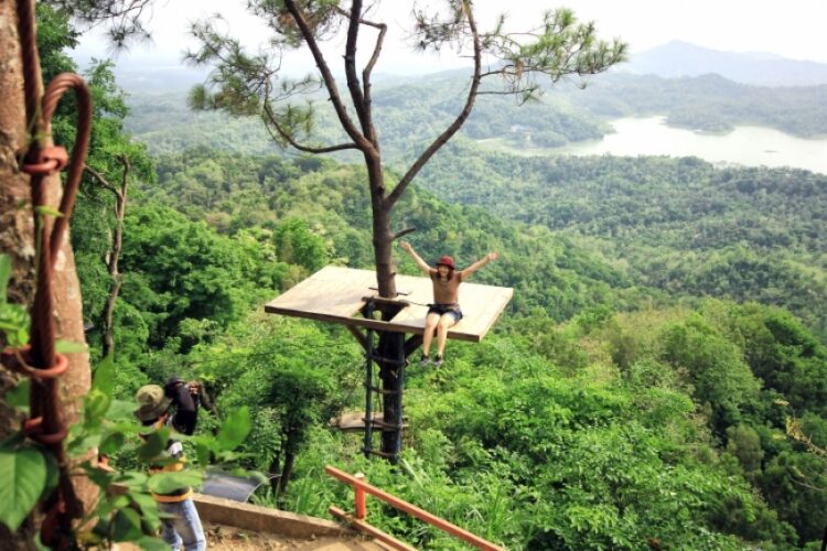 Wisata Kalibiru, Indahnya Menatap Hamparan Bukit Manoreh