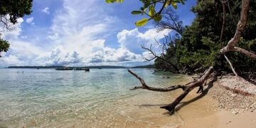 Ujung Kulon, Taman Nasional Warisan Masa Lalu