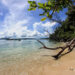 Ujung Kulon, Taman Nasional Warisan Masa Lalu