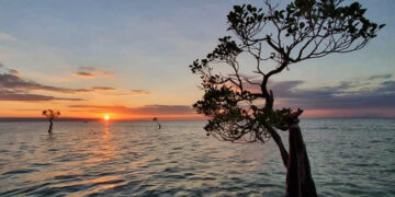 Pantai Walakiri, Memburu Sunset dan Dancing Mangroves