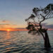 Pantai Walakiri, Memburu Sunset dan Dancing Mangroves