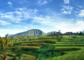 Tak Hanya Tawarkan Keindahan Alam, Ini Produk Ekraf Di Desa Wisata