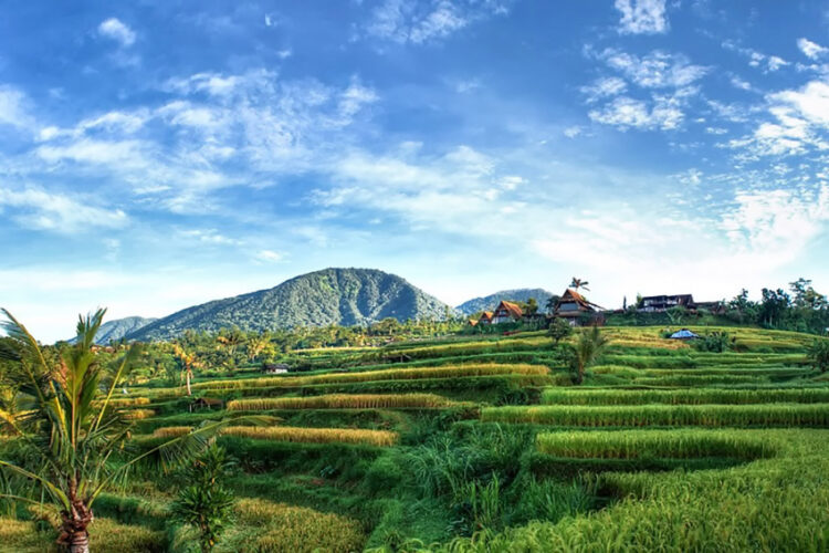 Tak Hanya Tawarkan Keindahan Alam, Ini Produk Ekraf Di Desa Wisata