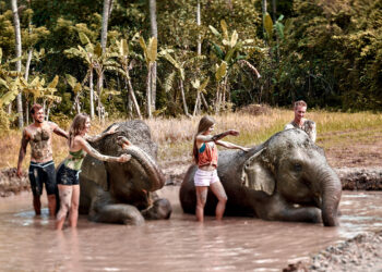 PT. Jetwings Bali dan Bali Zoo Hadirkan Program Eksklusif