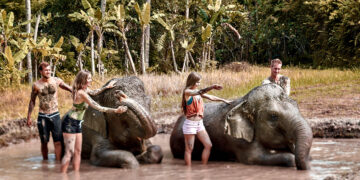 PT. Jetwings Bali dan Bali Zoo Hadirkan Program Eksklusif