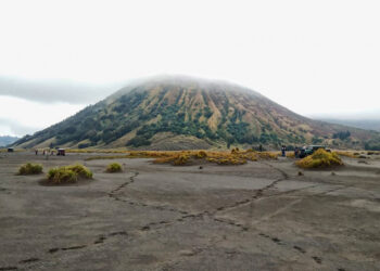 Melihat Lebih Dekat Geliat Wisata Gunung Bromo di Tengah Pandemi