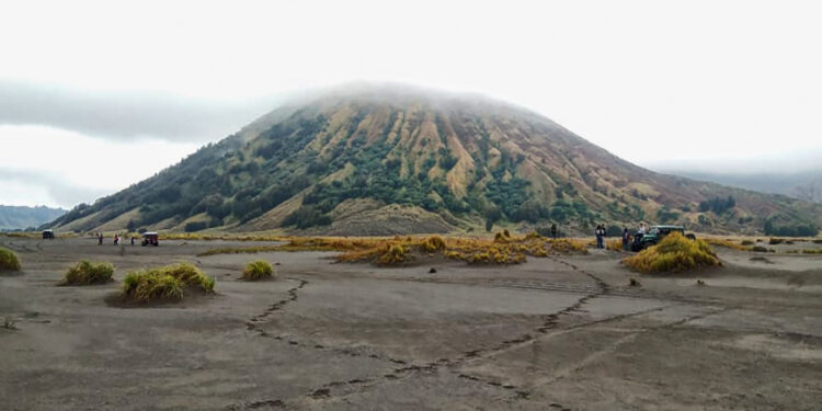 Melihat Lebih Dekat Geliat Wisata Gunung Bromo di Tengah Pandemi