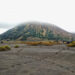 Melihat Lebih Dekat Geliat Wisata Gunung Bromo di Tengah Pandemi