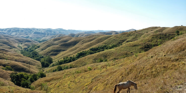 Bukit Wairinding, Menjemput Eksotisme Tanah Sumba
