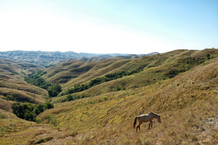 Bukit Wairinding, Menjemput Eksotisme Tanah Sumba