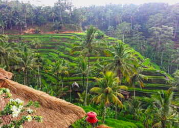 Ini Beberapa Fakta Unik Bali Yang Perlu Diketahui