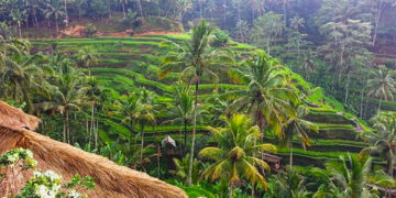 Ini Beberapa Fakta Unik Bali Yang Perlu Diketahui