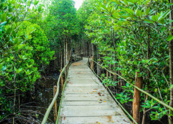 7 Hidden Gem di Pulau Jawa yang Bisa Dikunjungi Saat Staycation