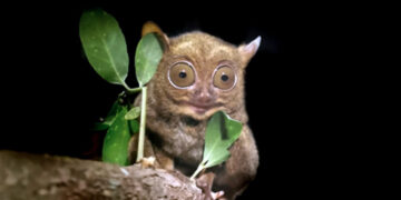 Bukit Peramun, Pesona Lain Wisata Belitung