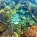 5 Spot Snorkeling Super Keren di Kepulauan Seribu, Jakarta