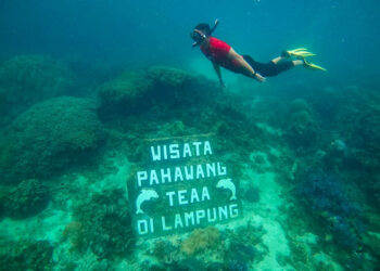 Desa Wisata Pulau Pahawang Lampung, Diharapkan Fokus Kembangkan Alam dan Budaya