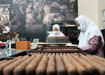 BIN Cigar Jadi Cerutu Kelas Dunia Karena Sentuhan Perempuan