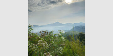 Hasil Tanpa Tandingan, Tangkap Keindahan Alam Lebih Epic dengan Galaxy S23 Ultra 5G