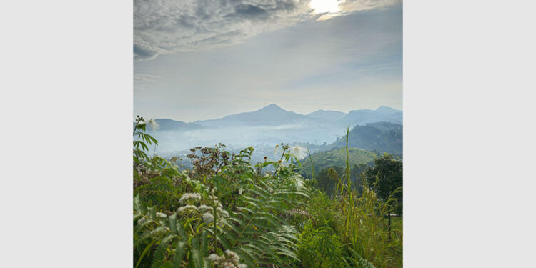 Hasil Tanpa Tandingan, Tangkap Keindahan Alam Lebih Epic dengan Galaxy S23 Ultra 5G