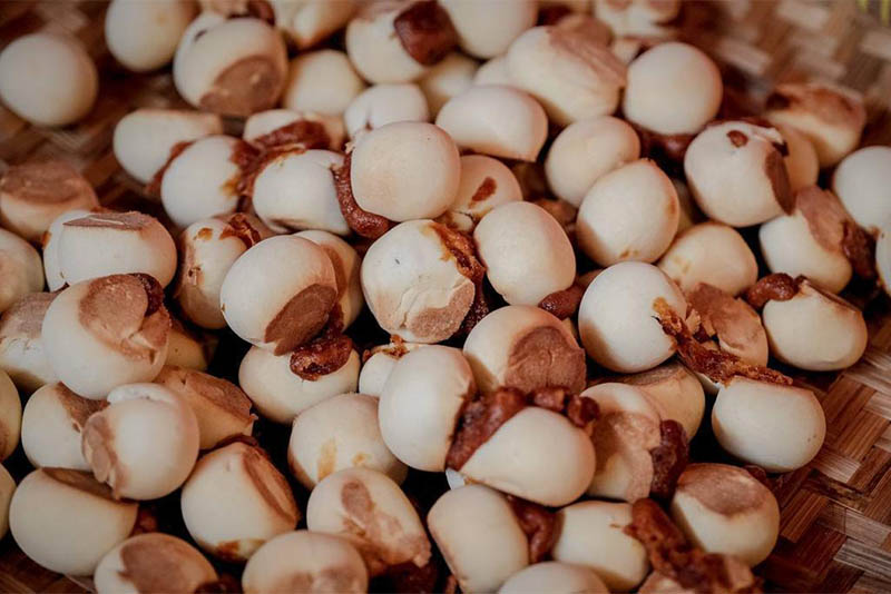 Nopia, Jajanan Khas Banyumas dari Desa Wisata Pekunden