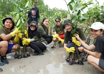Sharp Indonesia Lakukan Rehabilitasi Ekosistem Karbon Biru Untuk Peringati Hari Mangrove Sedunia