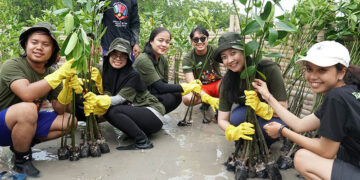 Sharp Indonesia Lakukan Rehabilitasi Ekosistem Karbon Biru Untuk Peringati Hari Mangrove Sedunia