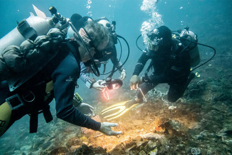Menparekraf Dukung KEK Likupang Sebagai Regenerative Tourism Area