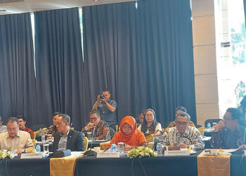 PT SMI Diingatkan Agar Miliki Strategi Bagi Pinjaman Daerah yang Melewati Masa Jabatan Kepala Daerahnya