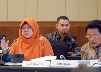 Anis Byarwati Harapkan Kemenkeu Perbaiki Kinerja Terkait Belum Adanya Provinsi Yang Memiliki Kemandirian Fiskal