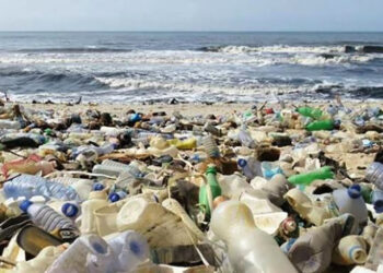 Ancaman Sampah Plastik Terhadap Laut Indonesia: Eks Menteri Susi Pudjiastuti Ungkap Video Viral