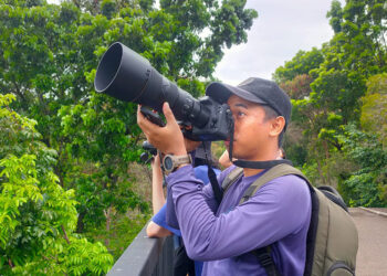 Gandeng Jakarta Birdwatcher’s Society dan Belantara Foundation, Ancol Taman Impian Gelar Asian Waterbird Census