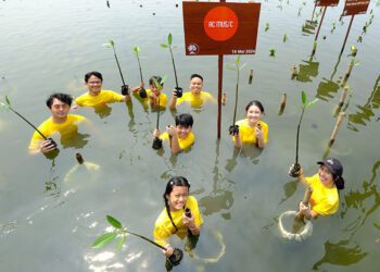Tanamkan Rasa Peduli Lingkungan pada Generasi Muda, AC Music Lakukan Kegiatan Penanaman Pohon Mangrove