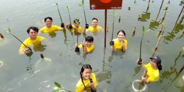 Tanamkan Rasa Peduli Lingkungan pada Generasi Muda, AC Music Lakukan Kegiatan Penanaman Pohon Mangrove